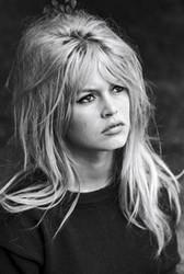 Téléchargez gratuitement les sonnerie Brigitte Bardot pour Sony Xperia Miro ST23i.